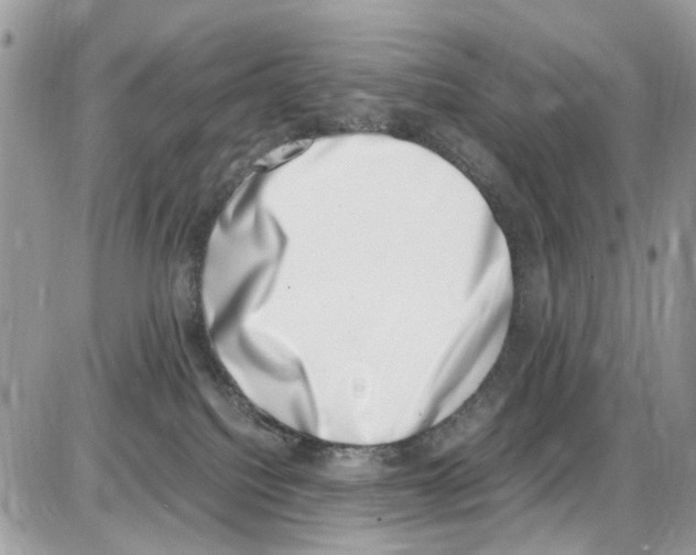 X0000086110088200704202316