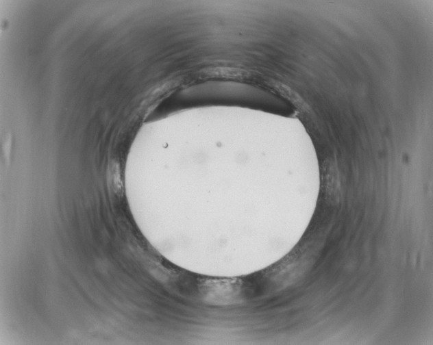 X0000086110089200704202316