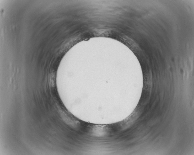 X0000086110090200704202316