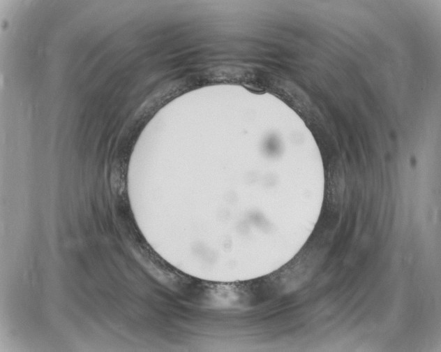 X0000086110091200704202316