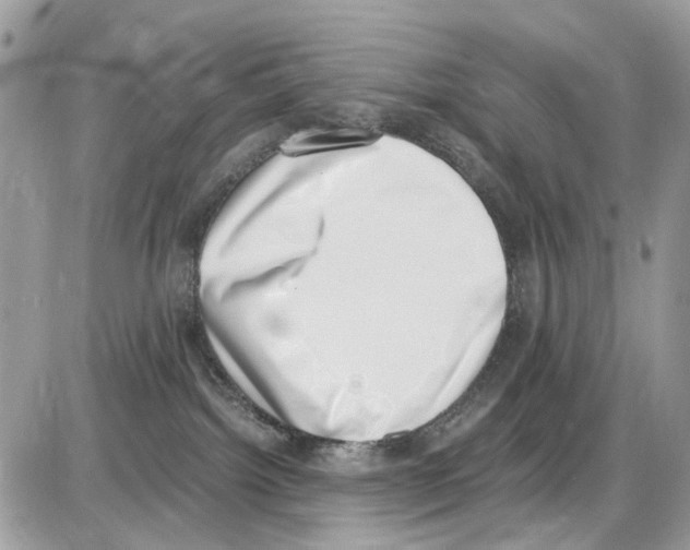 X0000086110092200704202316