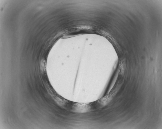 X0000086110093200704202316