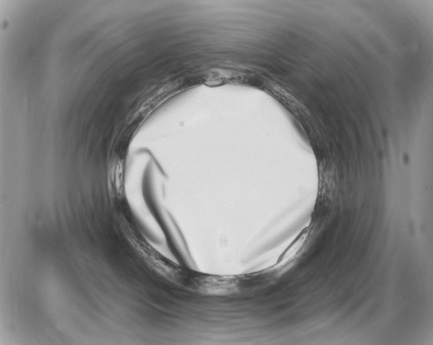 X0000086110094200704202316