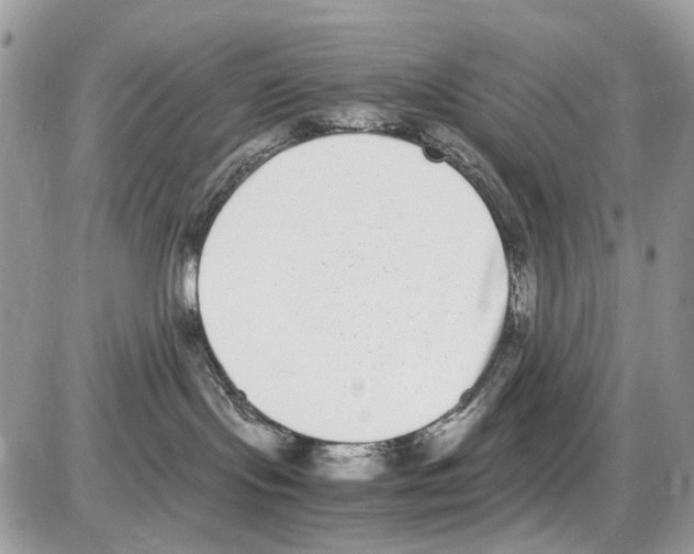 X0000086110095200704202316