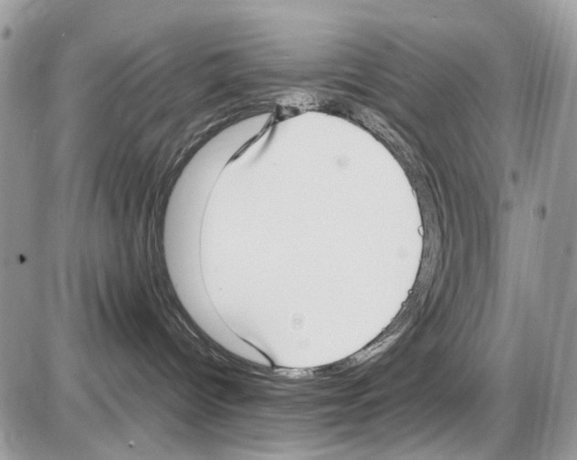 X0000086110096200704202316