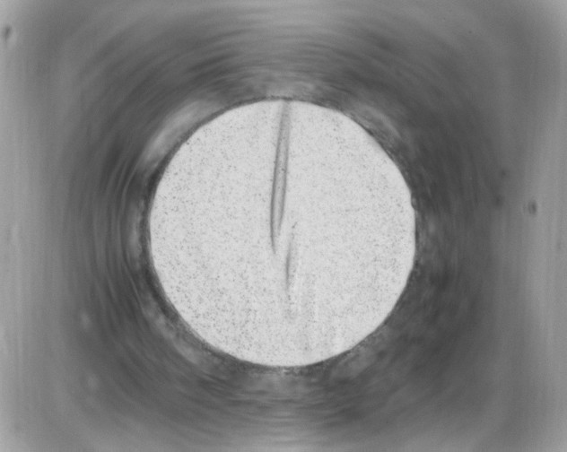 X0000086110098200704202316