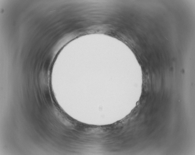 X0000086110100200704202316