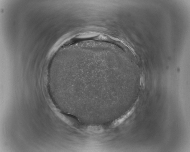 X0000086110101200704202316