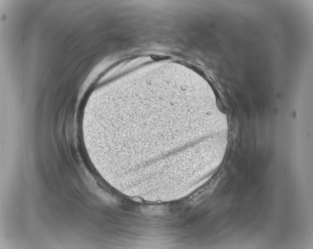 X0000086110102200704202316