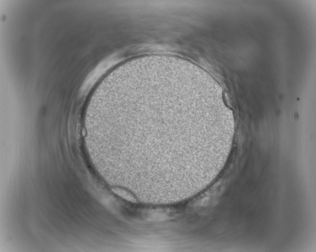 X0000086110103200704202316