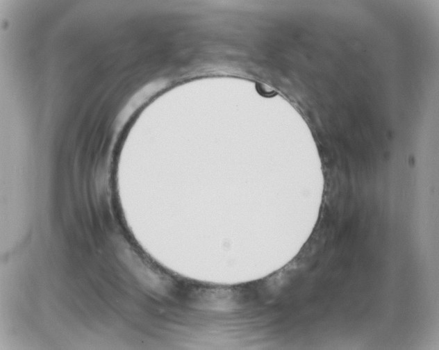 X0000086110104200704202316