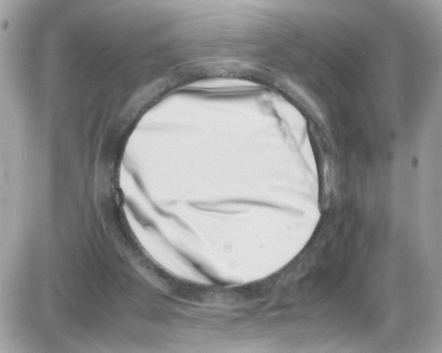 X0000086110105200704202316