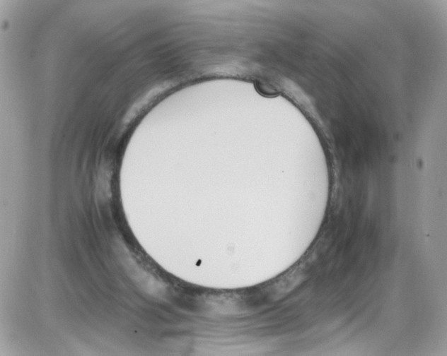 X0000086110106200704202316