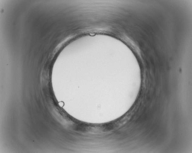 X0000086110107200704202316