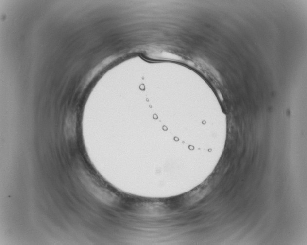 X0000086110108200704202316