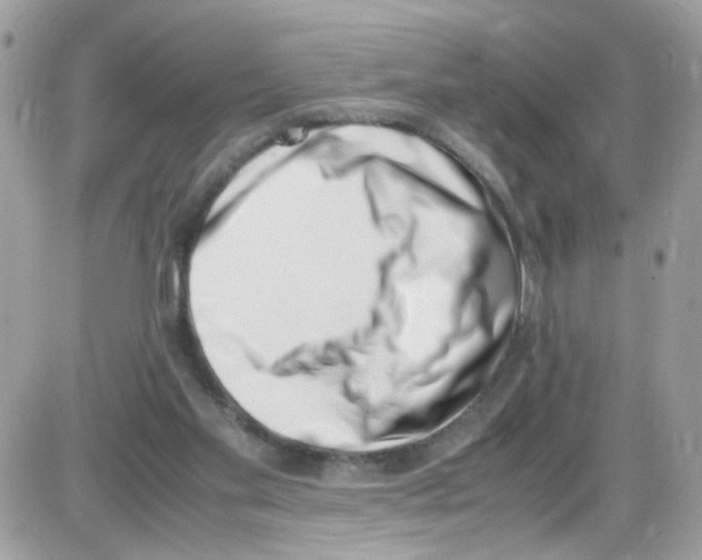 X0000086110109200704202316