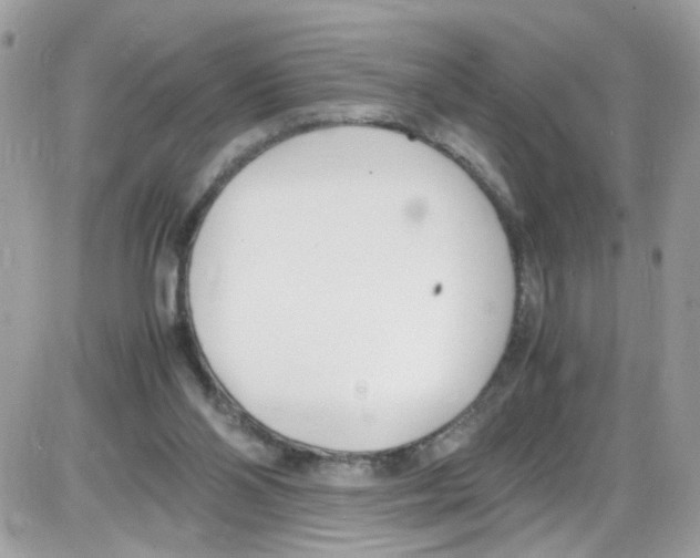 X0000086110110200704202315