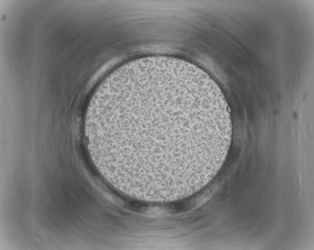 X0000086110111200704202315