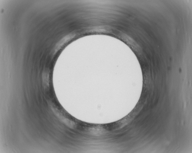 X0000086110112200704202315