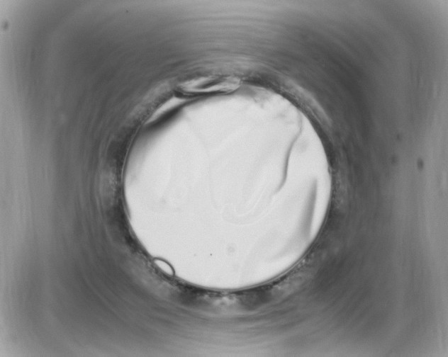 X0000086110113200704202315