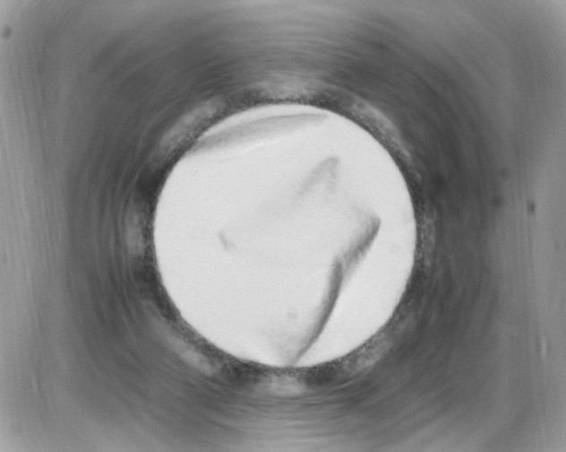 X0000086110114200704202315