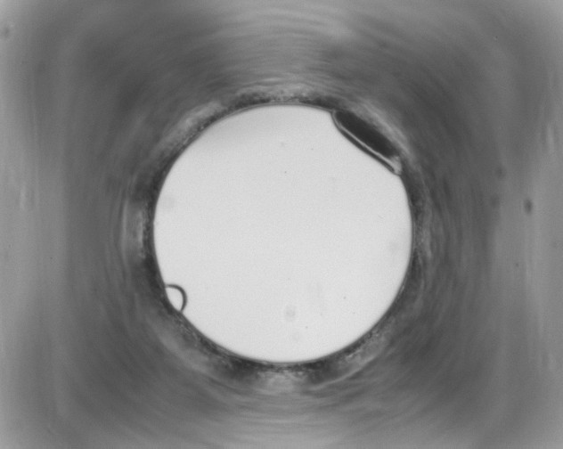 X0000086110115200704202315