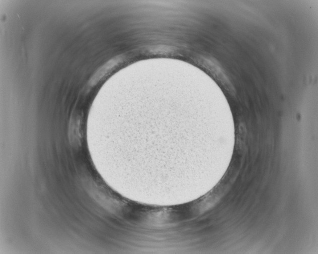 X0000086110116200704202315