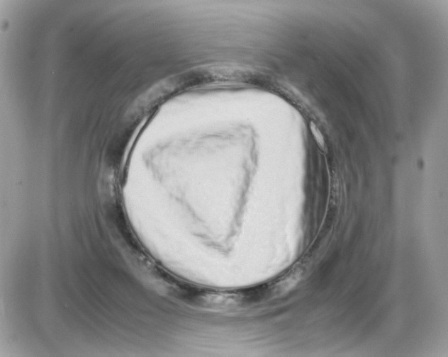 X0000086110117200704202315