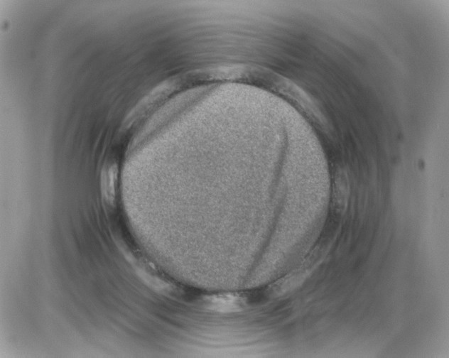 X0000086110118200704202315