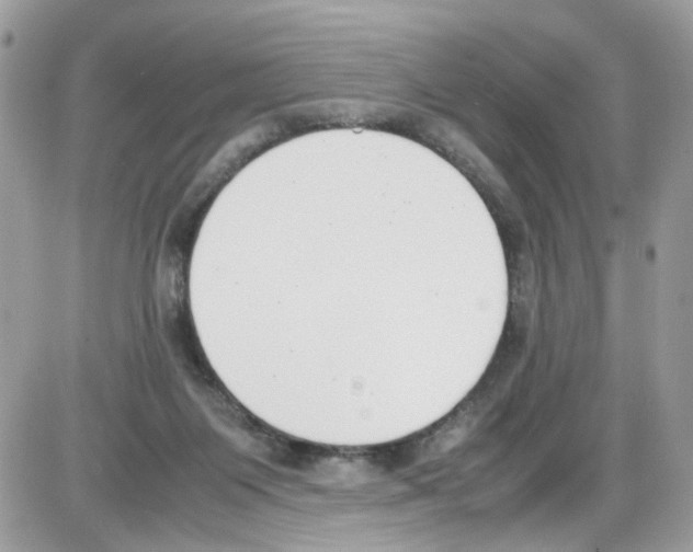 X0000086110119200704202315