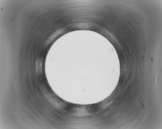 X0000086110120200704202315