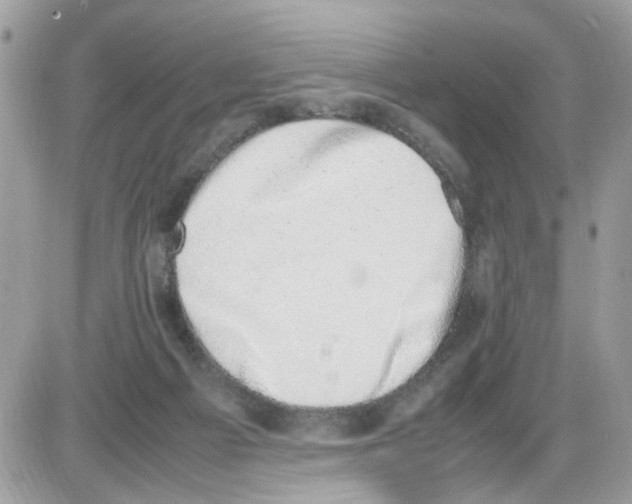 X0000086110121200704202315