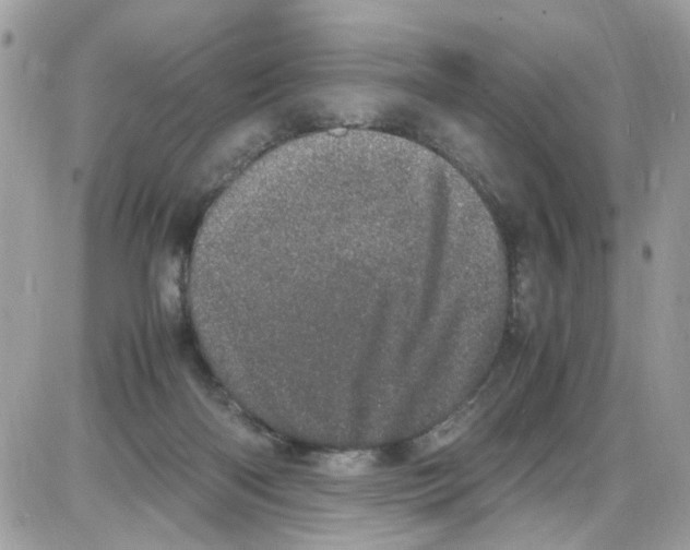 X0000086110122200704202315