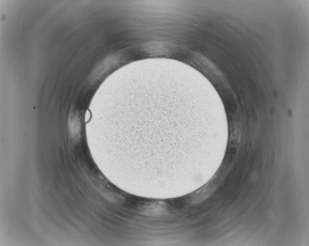 X0000086110124200704202315