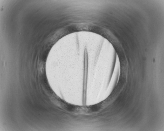 X0000086110125200704202315