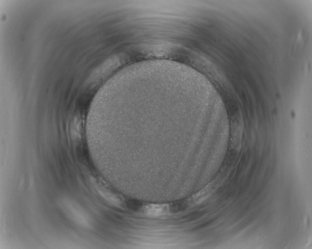 X0000086110126200704202315