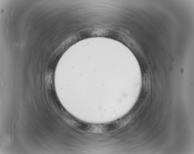 X0000086110127200704202315