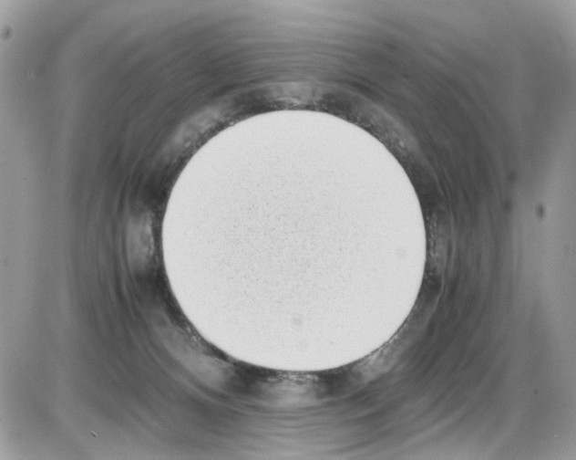 X0000086110128200704202315