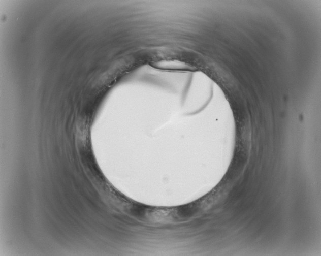 X0000086110129200704202315