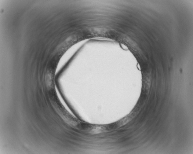 X0000086110130200704202315