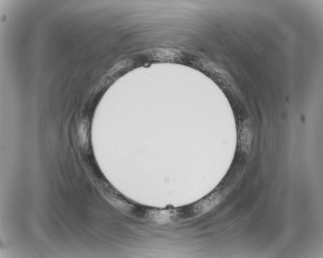 X0000086110131200704202315