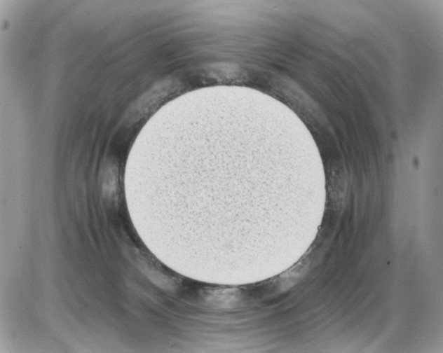 X0000086110132200704202315