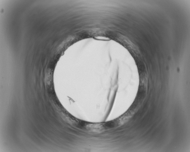 X0000086110133200704202315