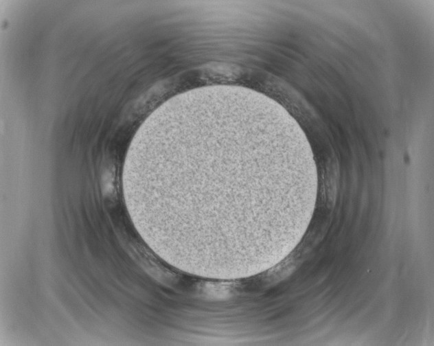 X0000086110134200704202315