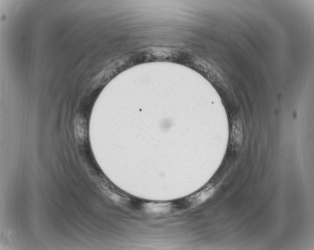 X0000086110135200704202315