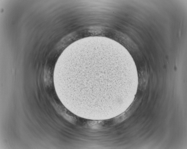 X0000086110136200704202315