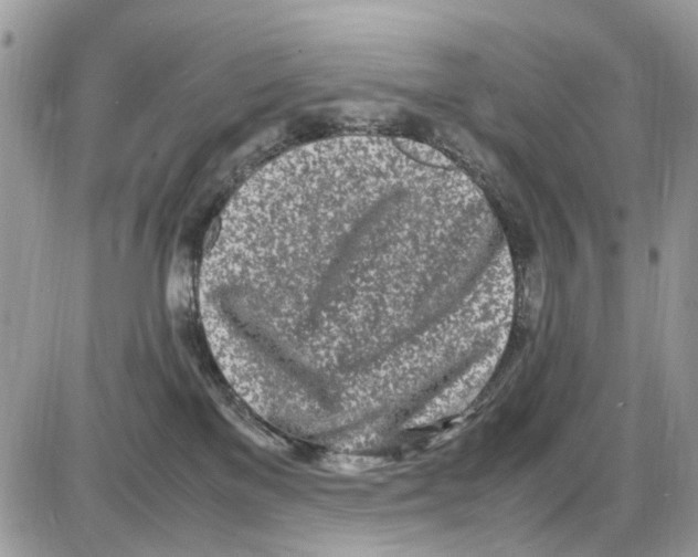 X0000086110137200704202315