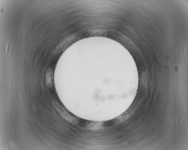 X0000086110138200704202315