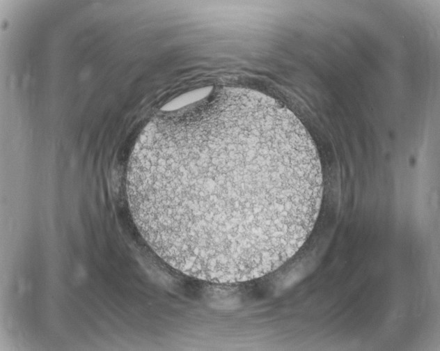 X0000086110139200704202315