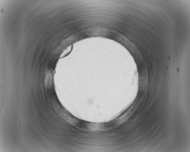 X0000086110142200704202315